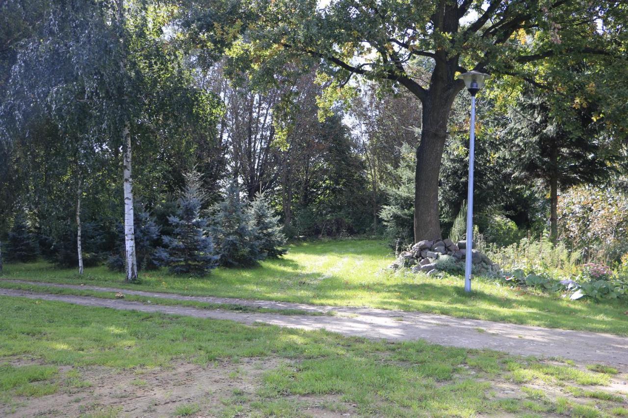 Agroturystyka Zulawiaczek Nowy Dwor Gdanski Exterior photo