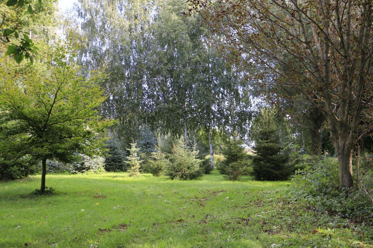 Agroturystyka Zulawiaczek Nowy Dwor Gdanski Exterior photo