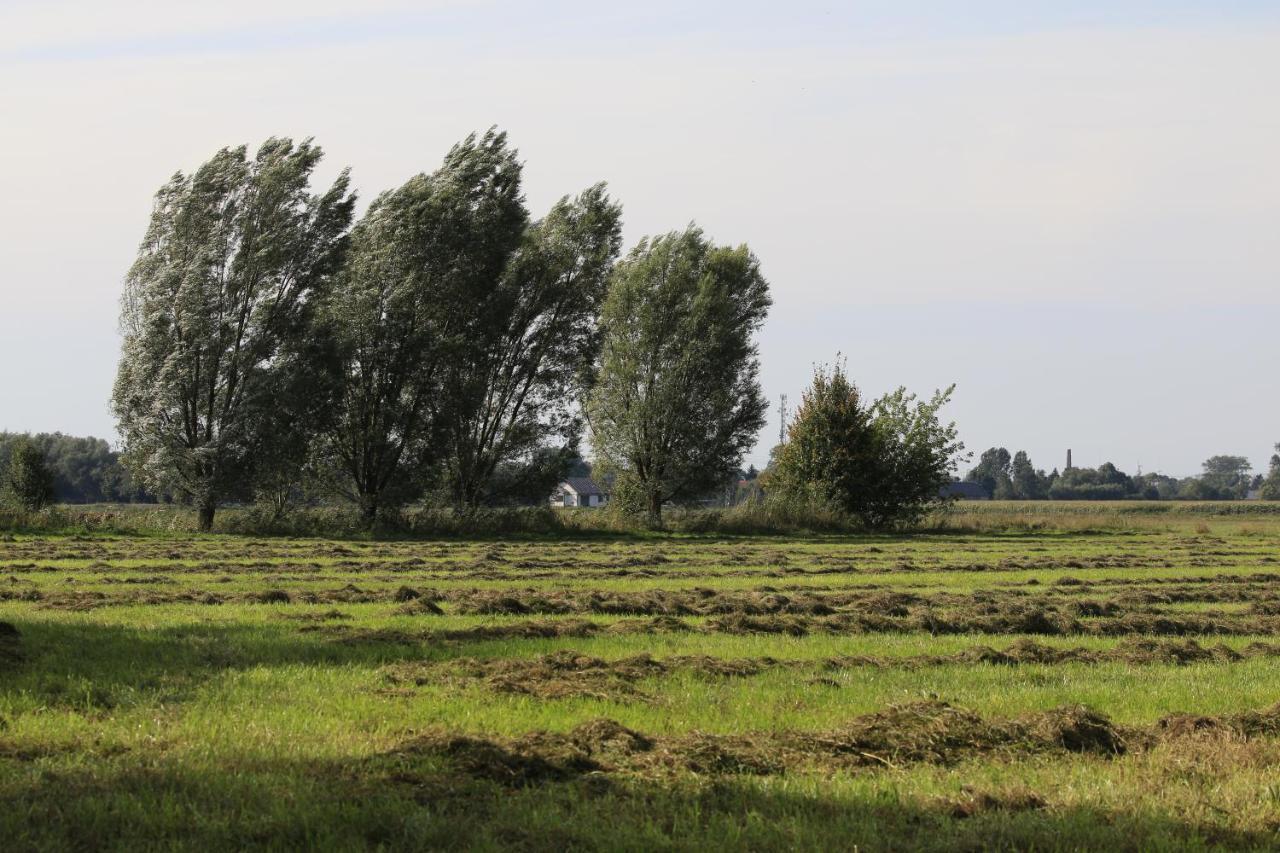 Agroturystyka Zulawiaczek Nowy Dwor Gdanski Exterior photo